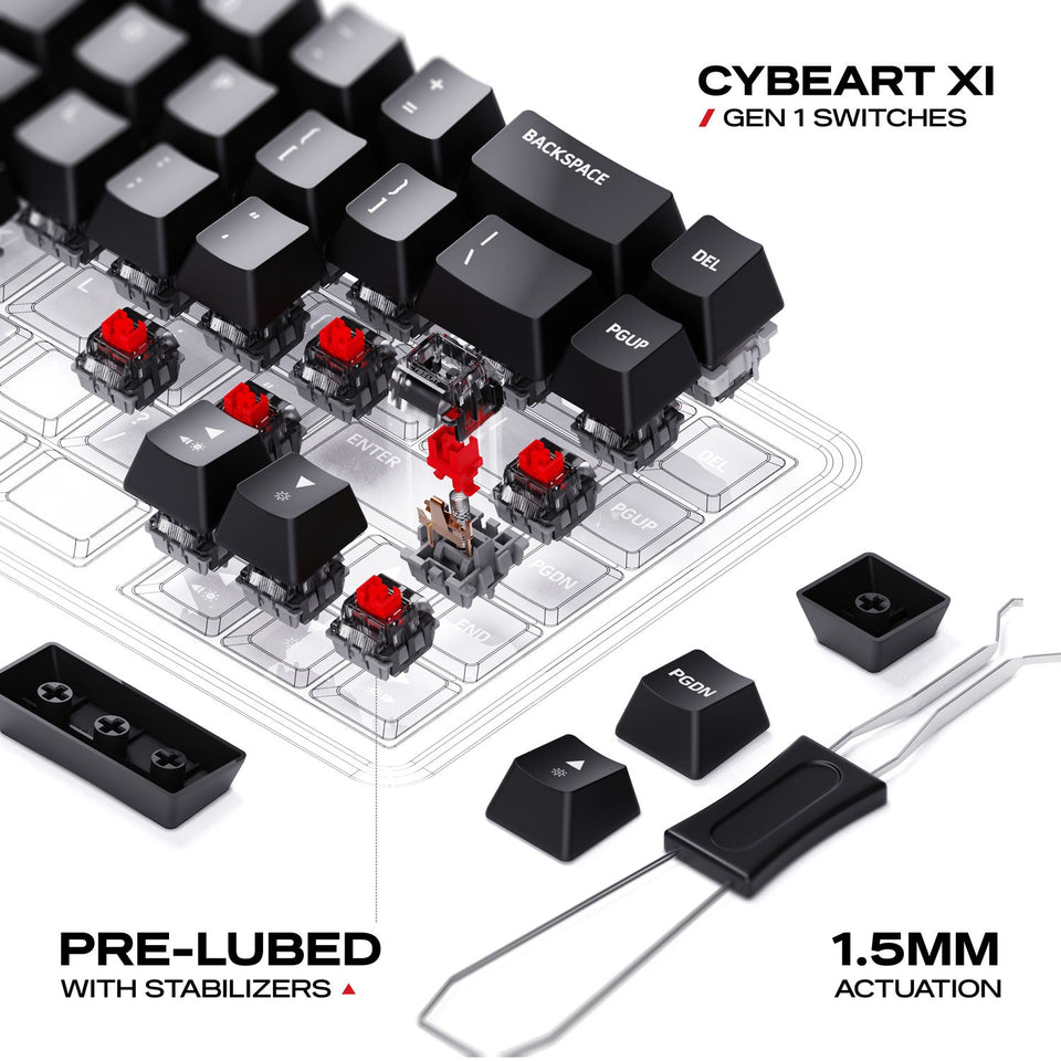 Switches
