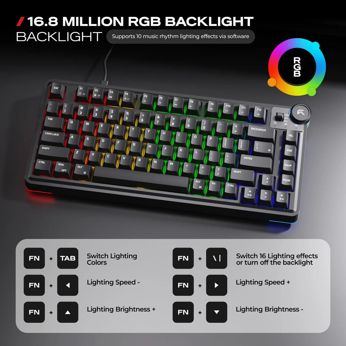 Rainbow RGB: Lit straight from the cable that carries every keystroke.